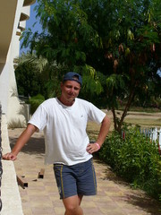 Пишу курсовые, рефераты. Недорого