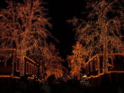 Монтаж и украшение ёлок, украшение гирляндами деревьев и зданий